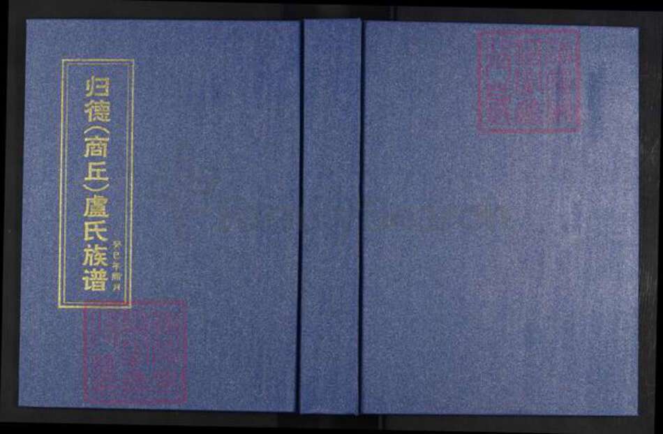 河南省商丘市睢阳区卢氏专经堂族谱-归德(商丘)卢氏族谱.pdf电子版缩略图