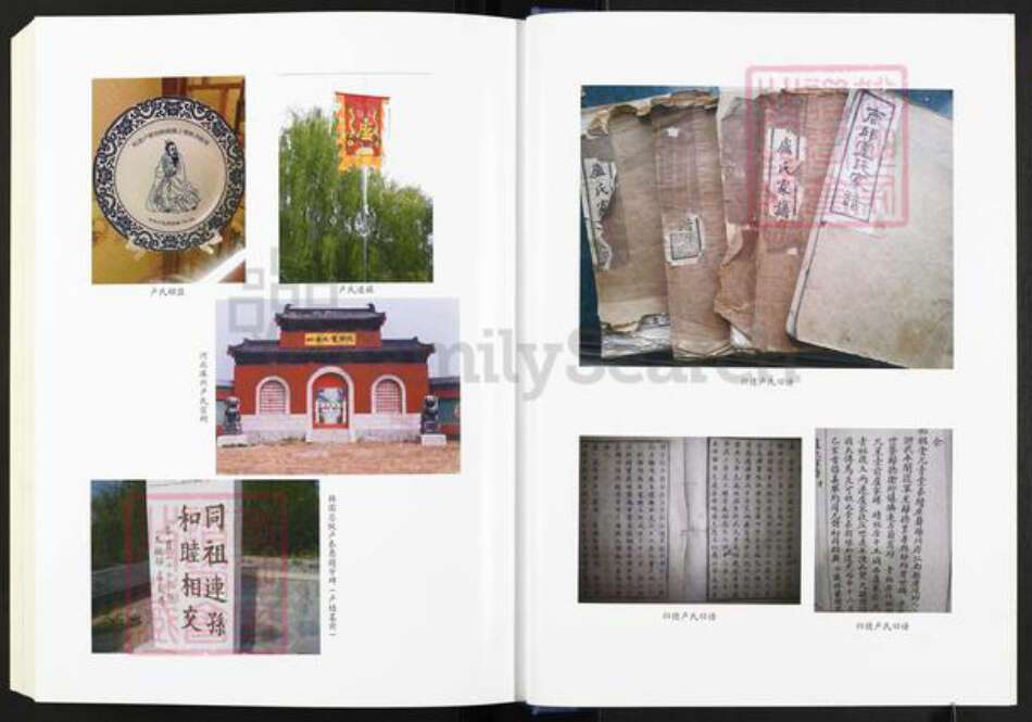 河南省商丘市睢阳区卢氏专经堂族谱-归德(商丘)卢氏族谱.pdf电子版预览图4