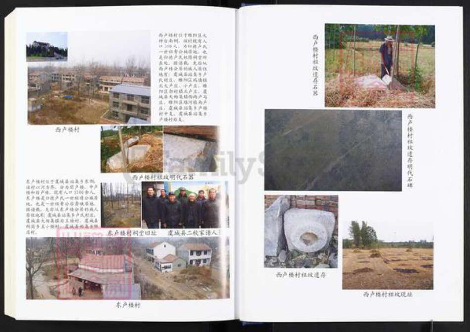 河南省商丘市睢阳区卢氏专经堂族谱-归德(商丘)卢氏族谱.pdf电子版预览图5