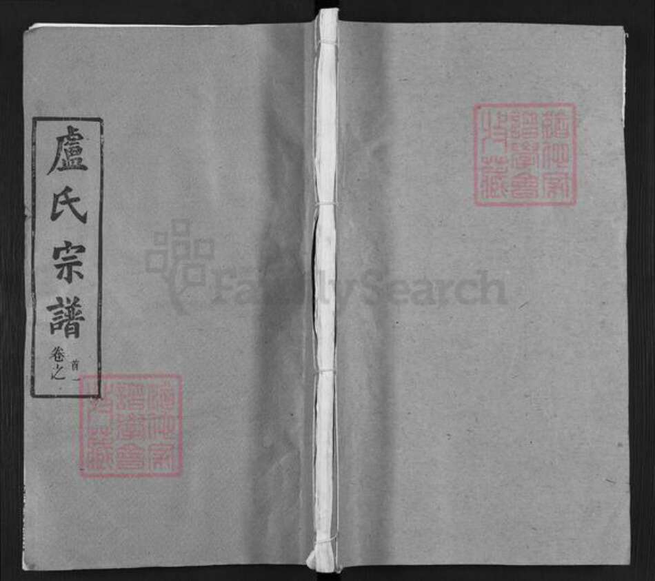 湖北省武汉市新洲区卢氏楷模堂族谱-卢氏宗谱.pdf电子版缩略图