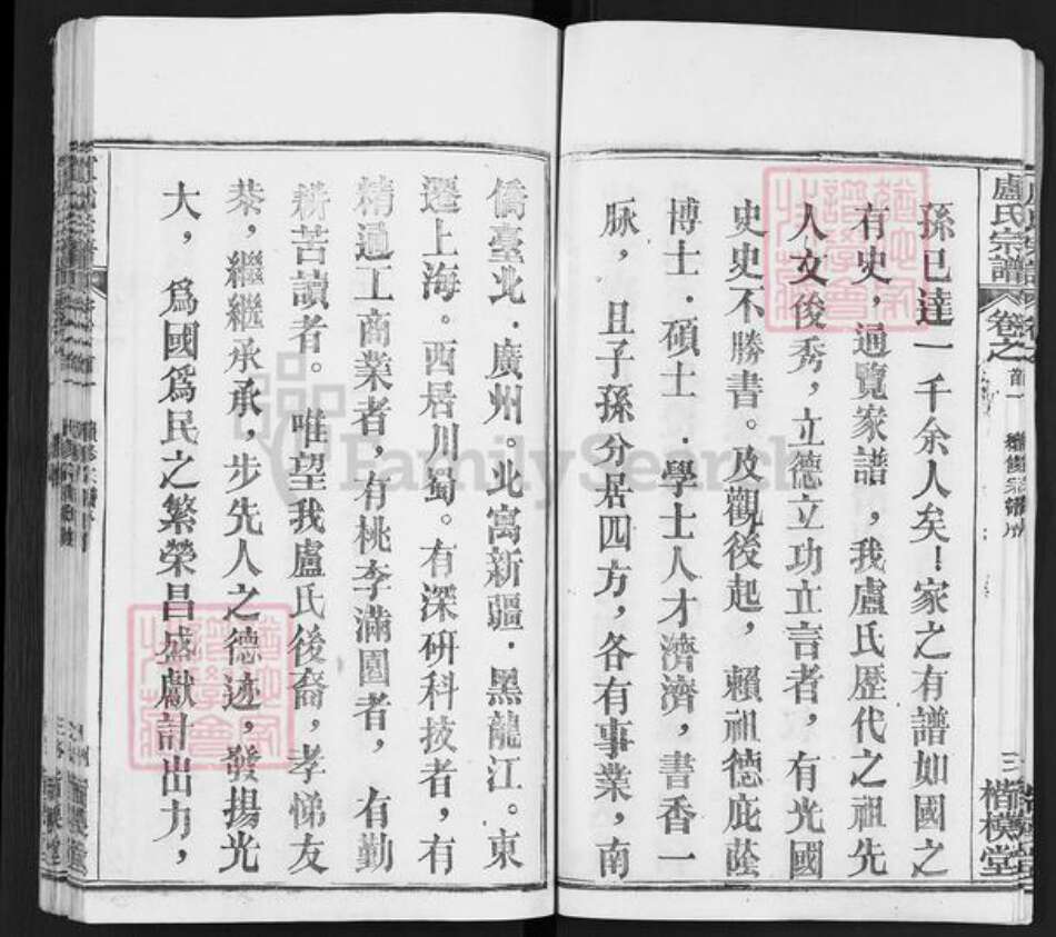 湖北省武汉市新洲区卢氏楷模堂族谱-卢氏宗谱.pdf电子版预览图4