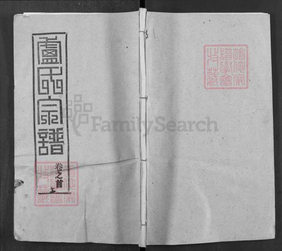 湖北省黄冈市罗田县大崎镇卢氏敦本堂族谱-卢氏宗谱.pdf电子版缩略图