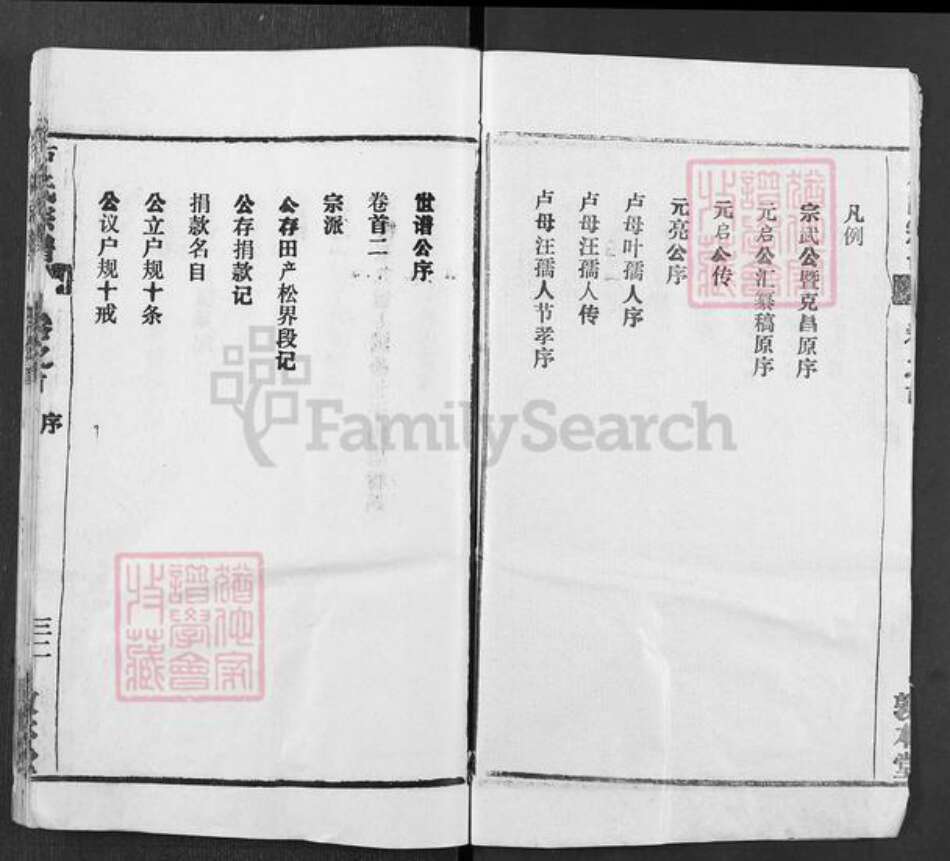 湖北省黄冈市罗田县大崎镇卢氏敦本堂族谱-卢氏宗谱.pdf电子版预览图2