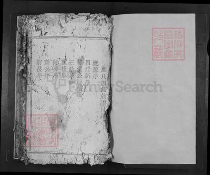 广东省韶关市南雄市卢氏族谱-范阳卢氏四修族谱.pdf电子版预览图1