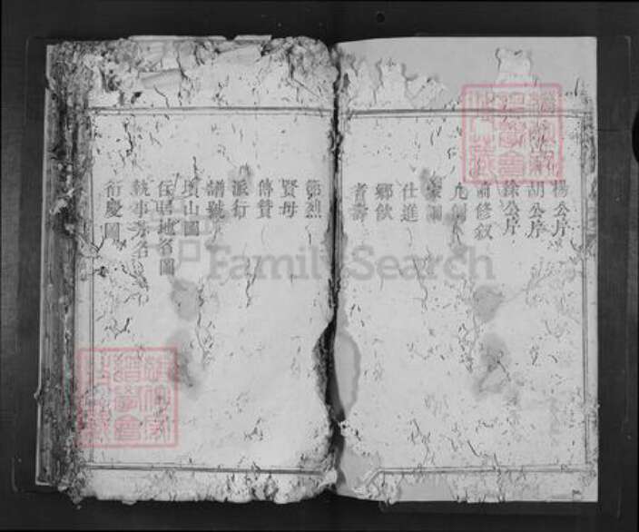 广东省韶关市南雄市卢氏族谱-范阳卢氏四修族谱.pdf电子版预览图2