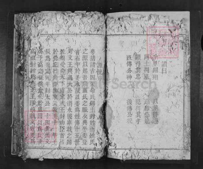 广东省韶关市南雄市卢氏族谱-范阳卢氏四修族谱.pdf电子版预览图4