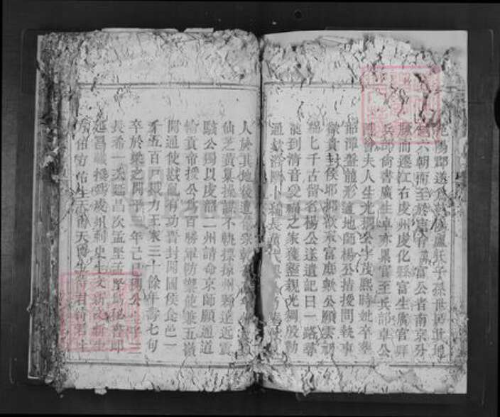 广东省韶关市南雄市卢氏族谱-范阳卢氏四修族谱.pdf电子版预览图5