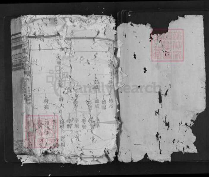 福建省三明市泰宁县卢氏族谱-卢氏族谱.pdf电子版预览图1