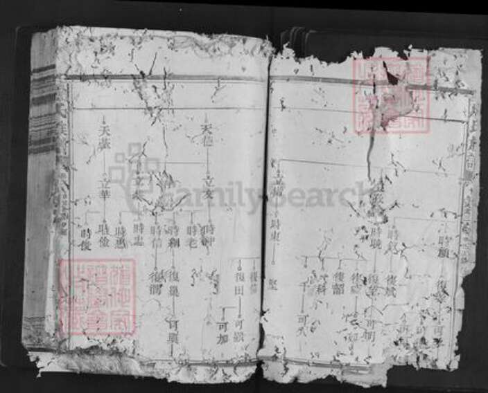 福建省三明市泰宁县卢氏族谱-卢氏族谱.pdf电子版预览图2