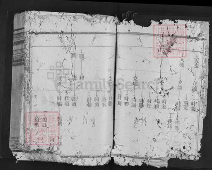 福建省三明市泰宁县卢氏族谱-卢氏族谱.pdf电子版预览图3