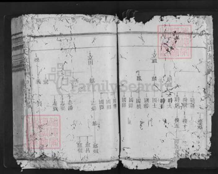 福建省三明市泰宁县卢氏族谱-卢氏族谱.pdf电子版预览图4