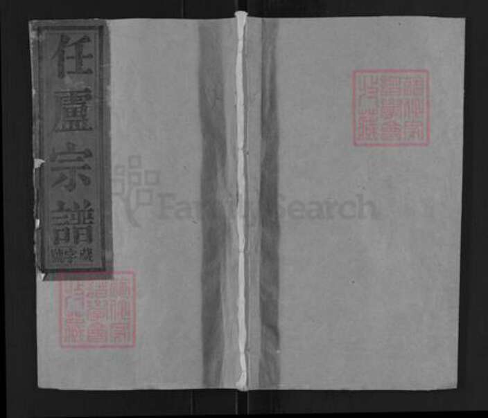 安徽省安庆市太湖县小池镇卢氏夺标堂族谱-任卢宗谱.pdf电子版缩略图