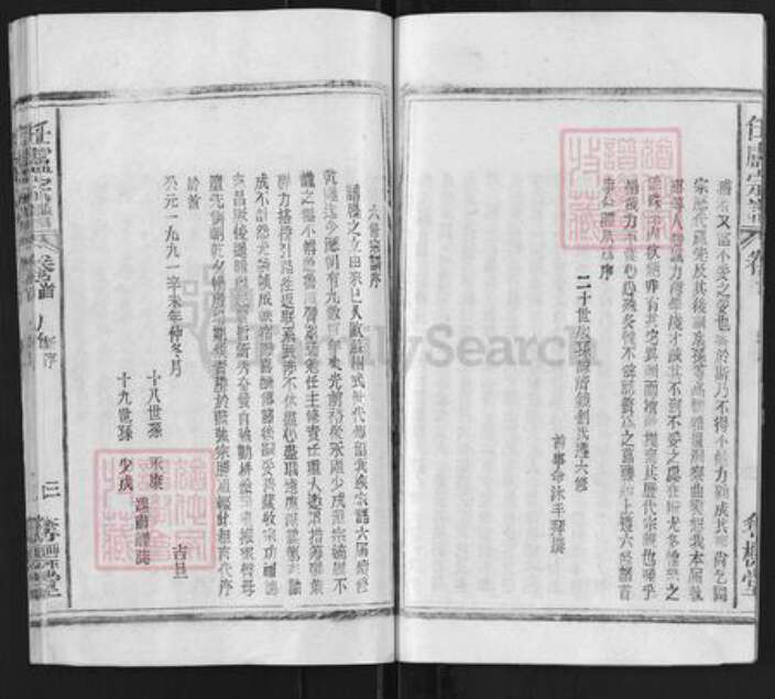 安徽省安庆市太湖县小池镇卢氏夺标堂族谱-任卢宗谱.pdf电子版预览图4