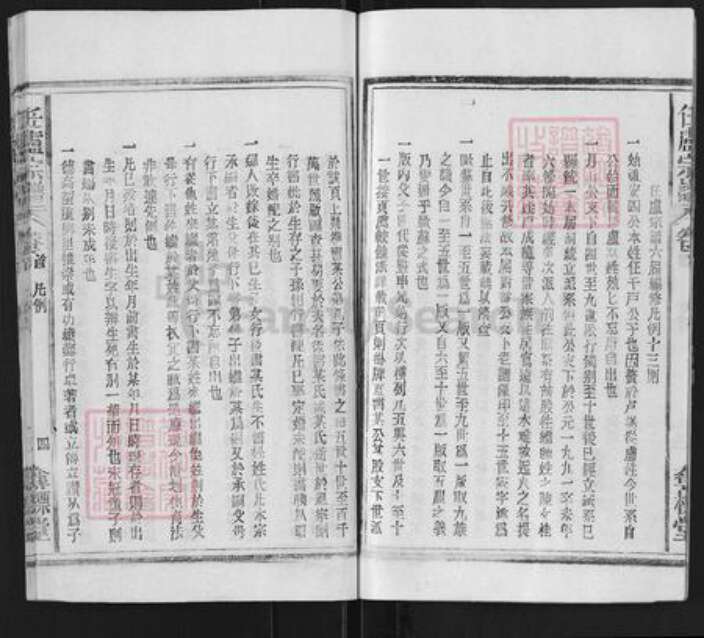 安徽省安庆市太湖县小池镇卢氏夺标堂族谱-任卢宗谱.pdf电子版预览图5