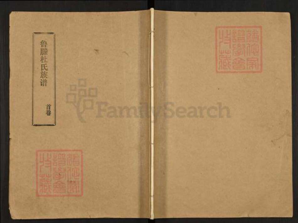 山东省枣庄市滕州市鲁氏族谱-鲁滕杜氏族谱.pdf电子版缩略图