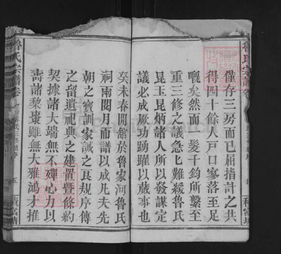 湖北省黄冈市罗田县鲁氏积富堂族谱-鲁氏宗谱.pdf电子版预览图5