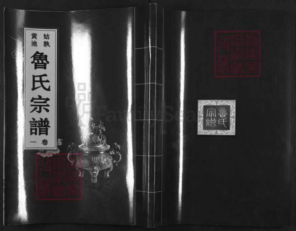 安徽省马鞍山市当涂县姑孰镇鲁氏尊亲堂族谱-鲁氏宗谱.pdf电子版缩略图