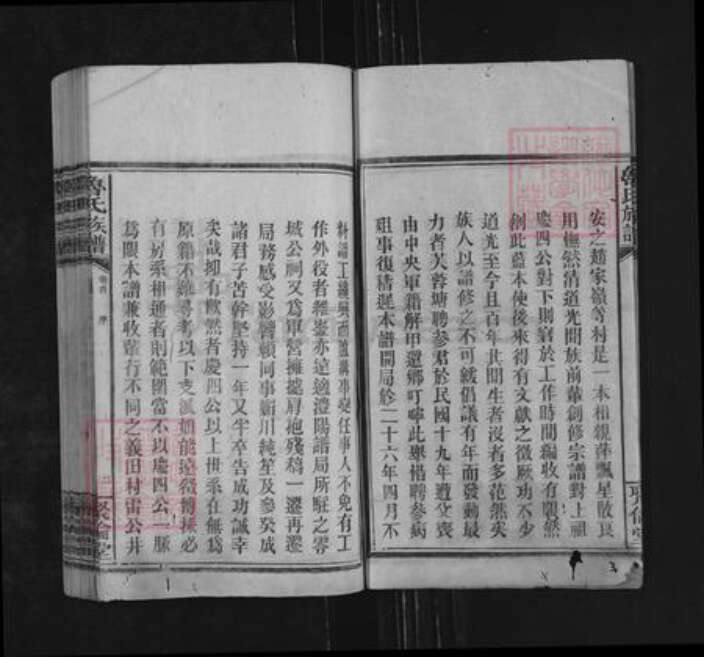 湖南省永州市零陵区鲁氏聚伦堂族谱-鲁氏族谱.pdf电子版预览图2