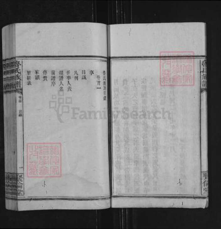 湖南省永州市零陵区鲁氏聚伦堂族谱-鲁氏族谱.pdf电子版预览图5