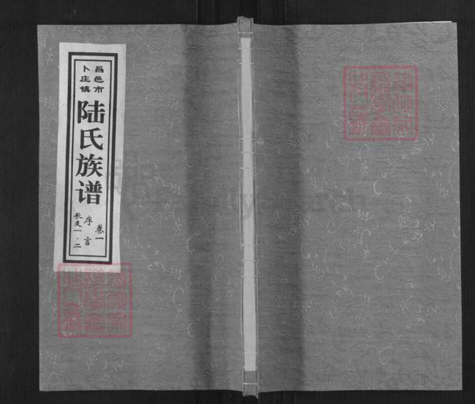 山东省潍坊市昌邑市卜庄镇陆氏族谱-昌邑市卜庄镇陆氏族谱.pdf电子版缩略图