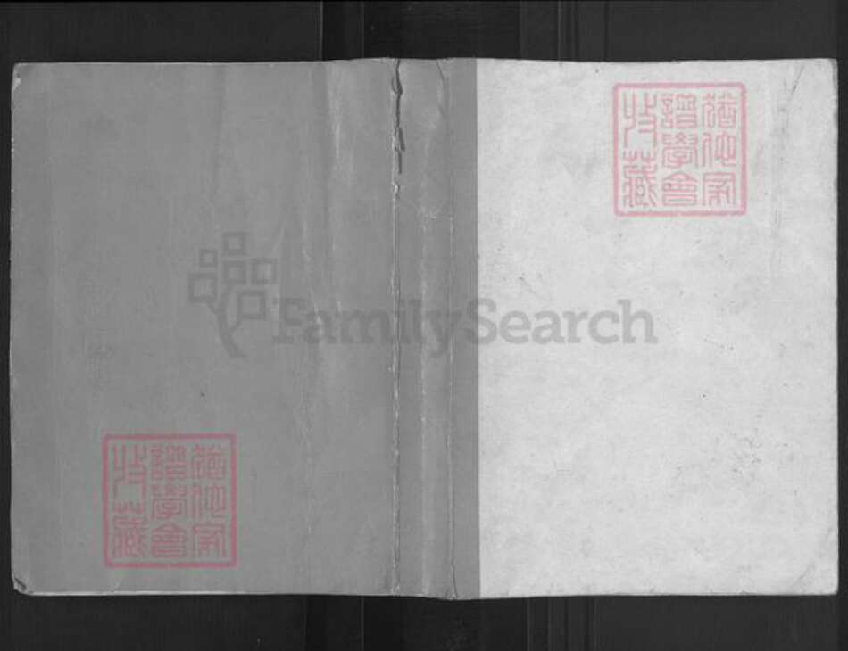 广西壮族自治区梧州市藤县陆氏族谱-陆氏族谱.pdf电子版缩略图