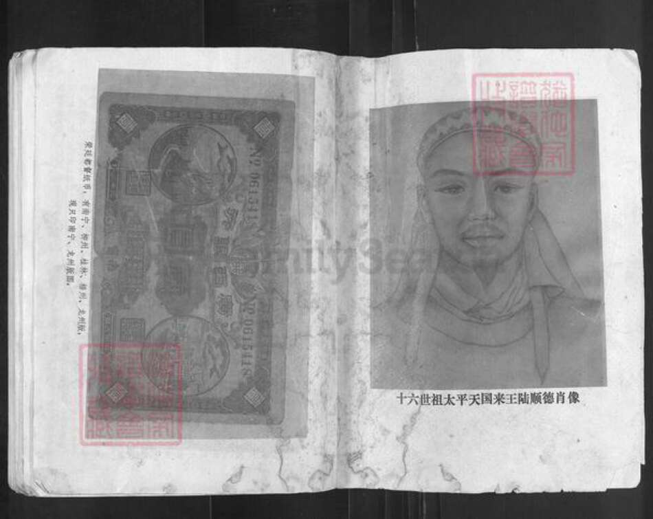 广西壮族自治区梧州市藤县陆氏族谱-陆氏族谱.pdf电子版预览图1