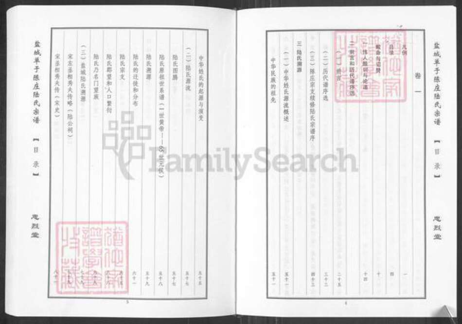 江苏省盐城市盐都区陆氏忠烈堂族谱-单于陈庄陆氏宗谱.pdf电子版预览图5