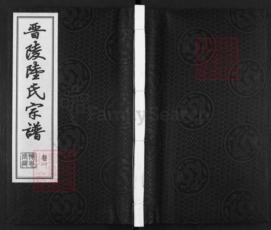 江苏省常州市丁堰街道陆氏怀忠堂族谱-晋陵陆氏宗谱.pdf电子版缩略图