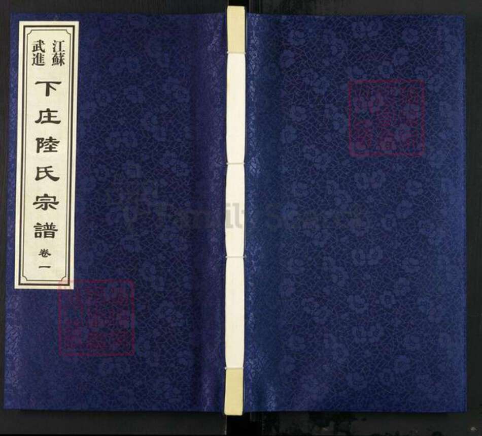 江苏省常州市武进县雪堰镇陆氏善庆堂族谱-江苏武进下庄陆氏宗谱.pdf电子版缩略图