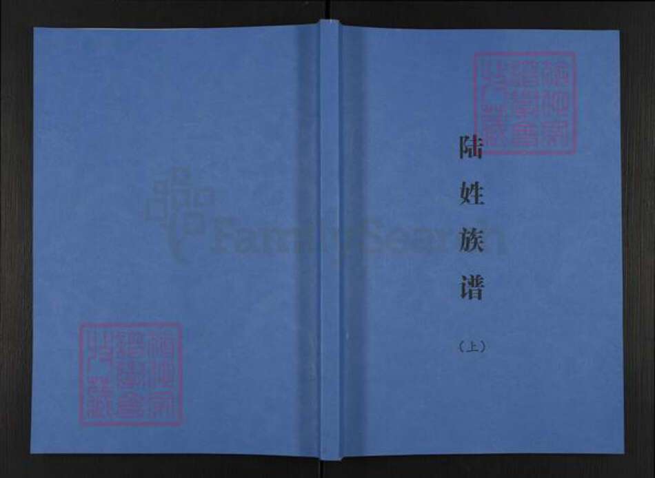 广西壮族自治区南宁市陆氏平原堂族谱-陆姓族谱.pdf电子版缩略图