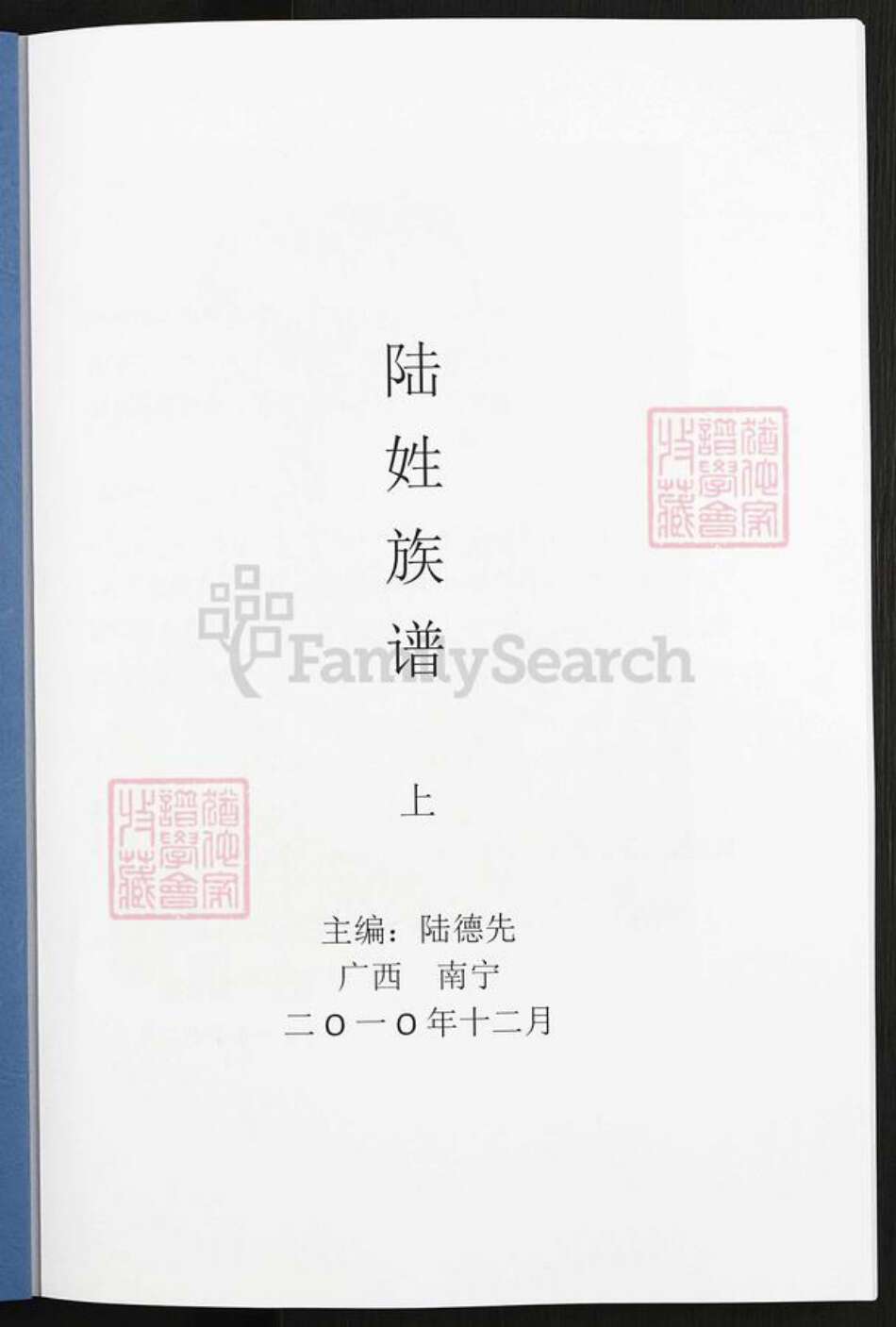 广西壮族自治区南宁市陆氏平原堂族谱-陆姓族谱.pdf电子版预览图1