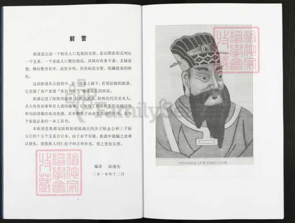 广西壮族自治区南宁市陆氏平原堂族谱-陆姓族谱.pdf电子版预览图2