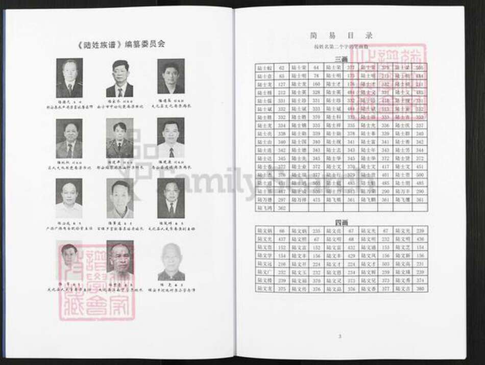 广西壮族自治区南宁市陆氏平原堂族谱-陆姓族谱.pdf电子版预览图3