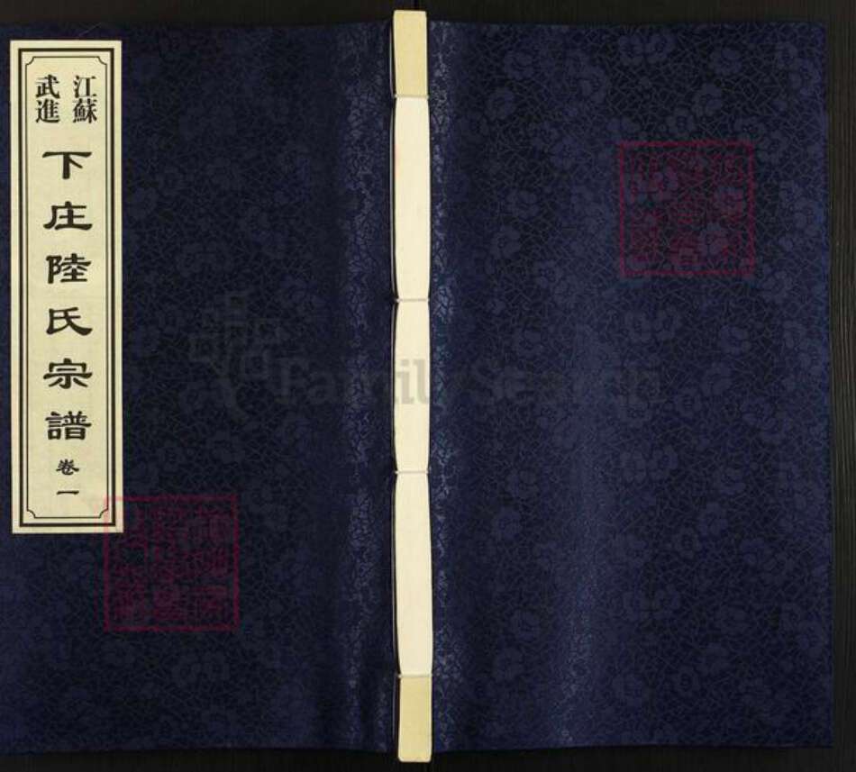 江苏省常州市武进县洛阳镇陆氏善庆堂族谱-江苏武进下庄陆氏宗谱.pdf电子版缩略图