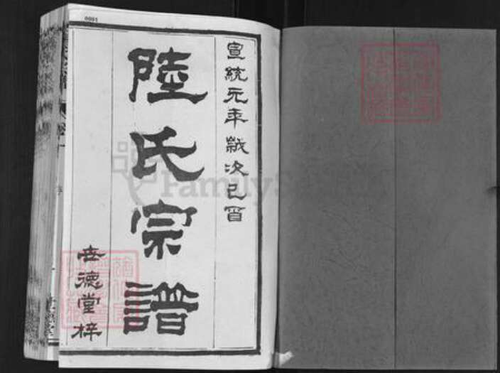 江苏省盐城市亭湖区陆氏世德堂族谱-盐城陆氏宗谱.pdf电子版预览图1