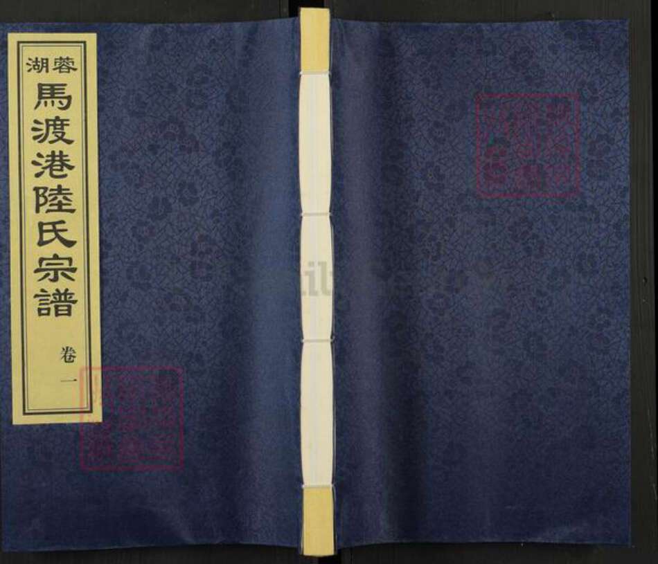 江苏省无锡市惠山区陆氏仰贤堂族谱-蓉湖马渡港陆氏宗谱.pdf电子版缩略图