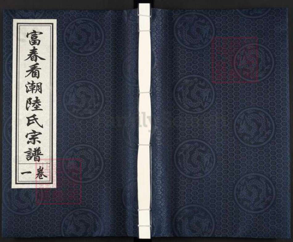 浙江省杭州市富阳新桐乡乡陆氏衍庆堂族谱-富春看潮陆氏宗谱.pdf电子版缩略图