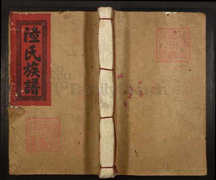 江西省赣州市信丰县陆氏族谱-信赣陆氏八修族谱.pdf电子版缩略图