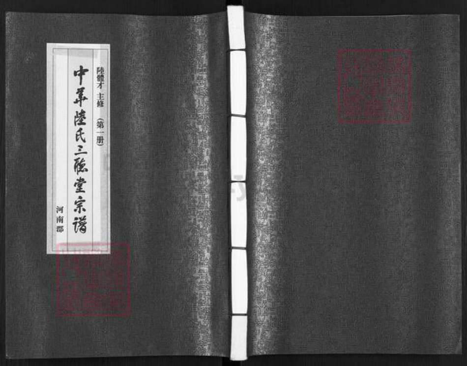 陕西省商雒市陆氏三听堂族谱-中华陆氏三听堂宗谱.pdf电子版缩略图