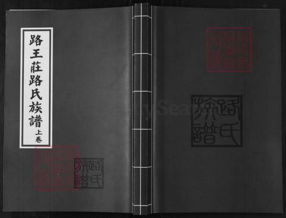 山东省滨州市沾化区路氏族谱-路王庄路氏族谱.pdf电子版