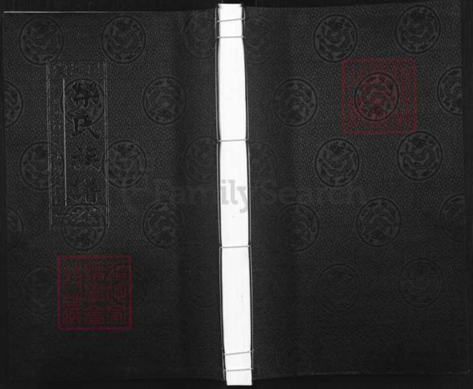 江苏省泰州市泰兴市高港栾氏昆玉堂族谱-栾氏族谱.pdf电子版缩略图