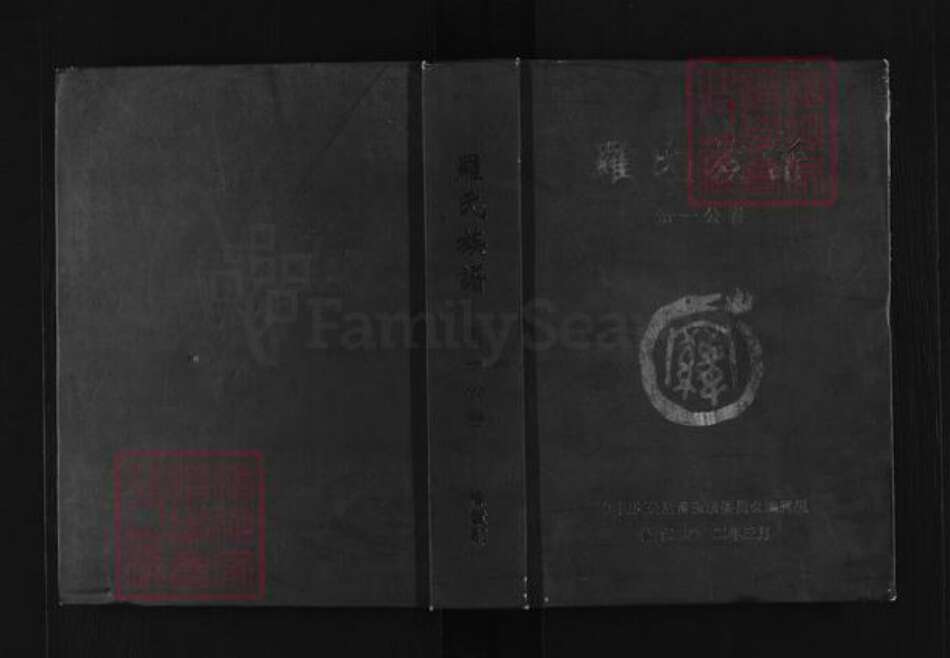 湖北省黄冈市麻城市白果镇罗氏族谱-罗氏族谱.pdf电子版缩略图