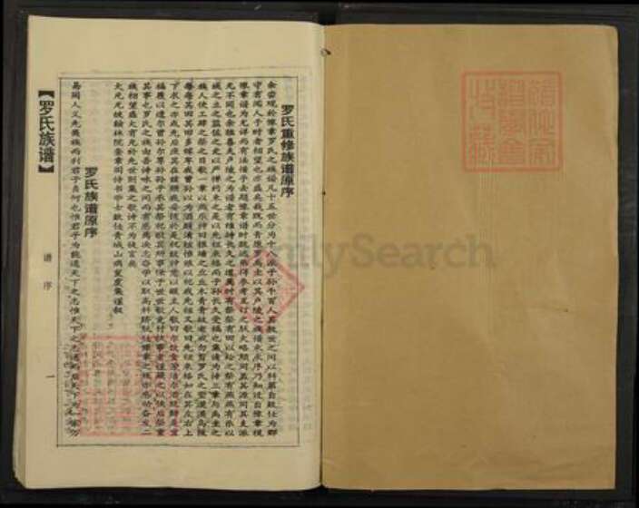 广东省韶关市乐昌市长来镇罗氏族谱-罗氏族谱.pdf电子版预览图1