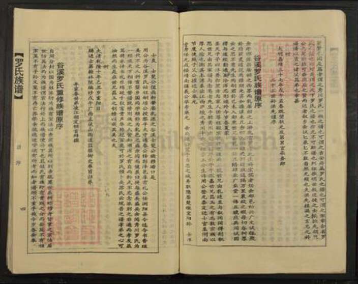 广东省韶关市乐昌市长来镇罗氏族谱-罗氏族谱.pdf电子版预览图4