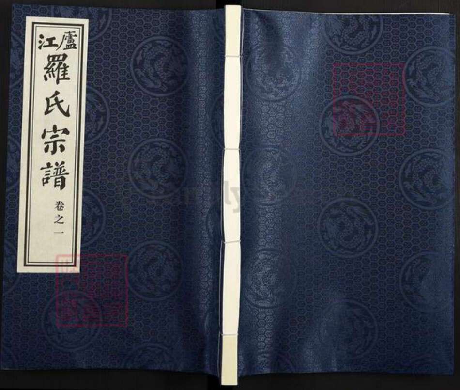 安徽省合肥市庐江县庐城镇罗氏孝思堂族谱-卢江罗氏宗谱.pdf电子版缩略图