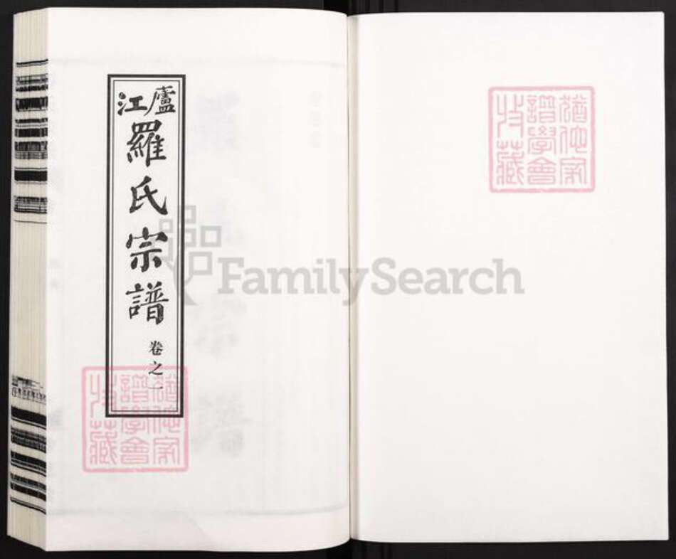 安徽省合肥市庐江县庐城镇罗氏孝思堂族谱-卢江罗氏宗谱.pdf电子版预览图1