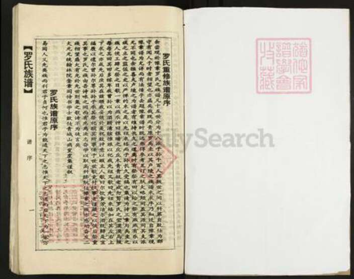 广东省韶关市乐昌市坪石街道罗氏族谱-罗氏族谱.pdf电子版预览图1