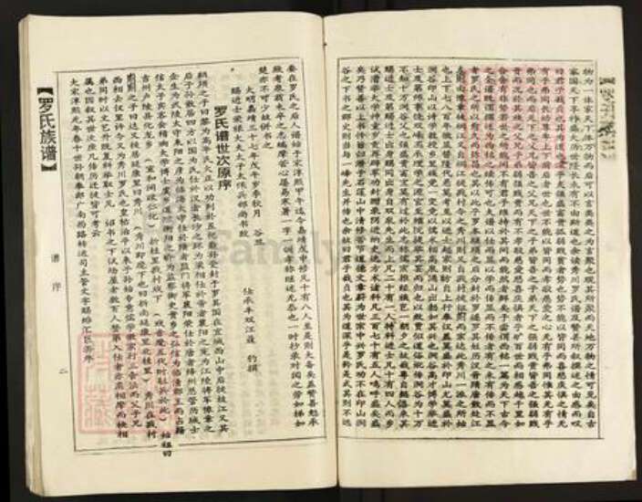 广东省韶关市乐昌市坪石街道罗氏族谱-罗氏族谱.pdf电子版预览图2