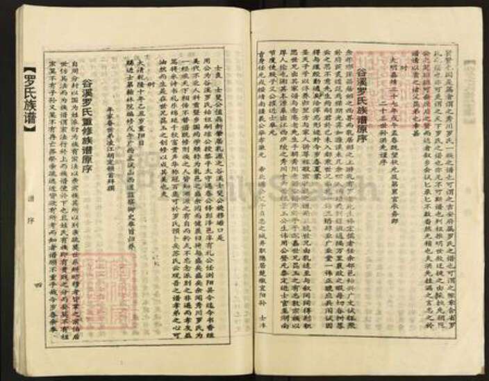 广东省韶关市乐昌市坪石街道罗氏族谱-罗氏族谱.pdf电子版预览图4