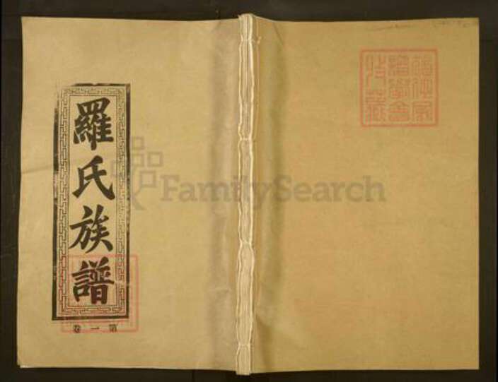 广东省韶关市罗氏族谱-罗氏族谱.pdf电子版缩略图